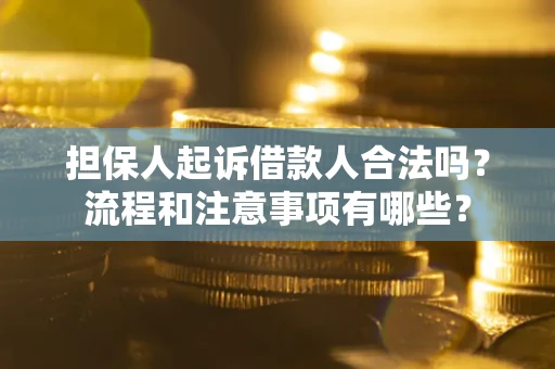 武汉担保人起诉借款人合法吗？流程和注意事项有哪些？