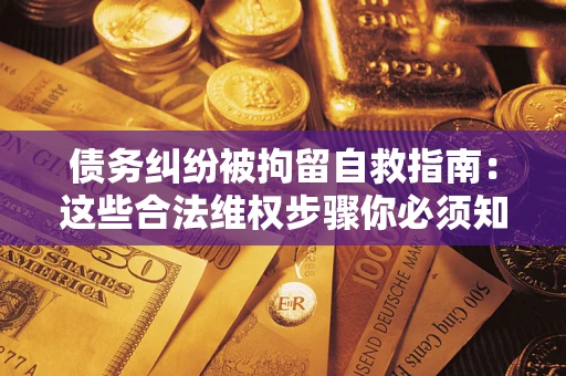 武汉债务纠纷被拘留自救指南：这些合法维权步骤你必须知道！