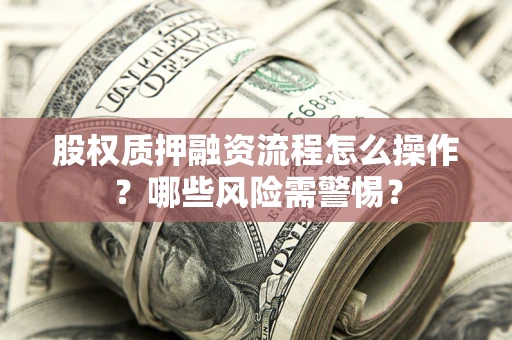 武汉股权质押融资流程怎么操作？哪些风险需警惕？