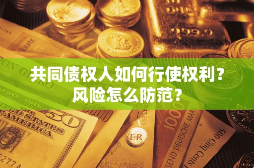 武汉共同债权人如何行使权利？风险怎么防范？