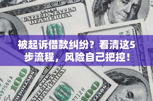 武汉被起诉借款纠纷？看清这5步流程，风险自己把控！