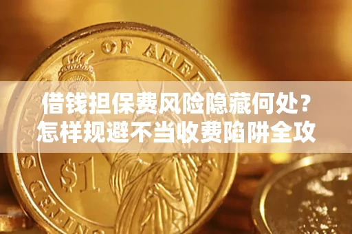 武汉借钱担保费风险隐藏何处？怎样规避不当收费陷阱全攻略！