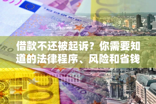 武汉借款不还被起诉？你需要知道的法律程序、风险和省钱技巧